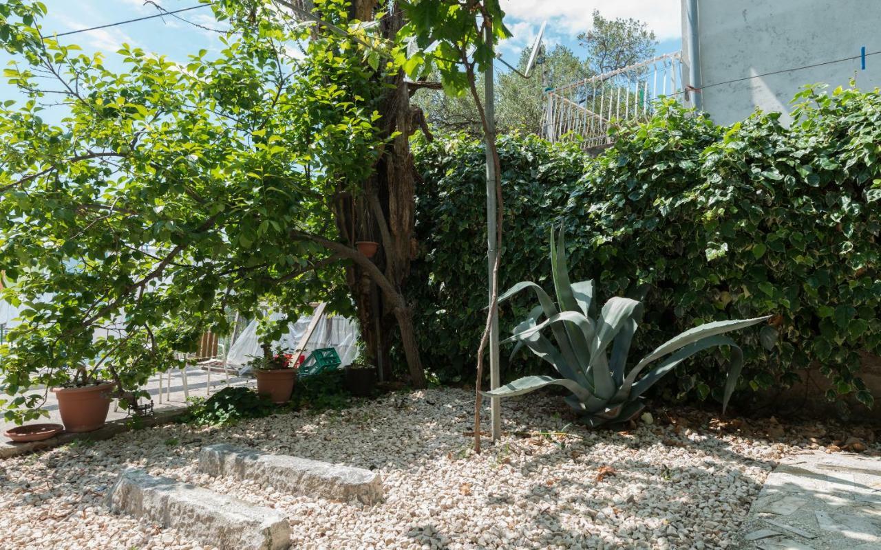 בלאצ'ה Apartments Azzurro מראה חיצוני תמונה